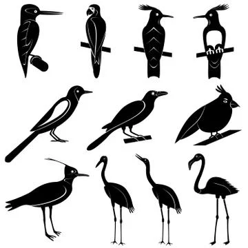 Vector Collection of Bird Silhouettes 스톡 일러스트