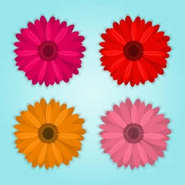 Vector collection of colored realistic gerbera flowers on blue background Stock Illustration