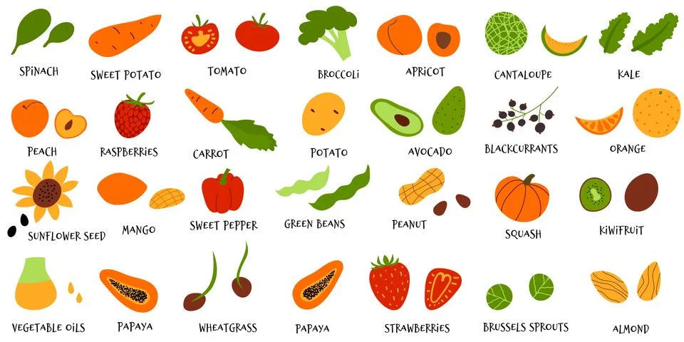 Vector collection of hand draw fruit and veggies in hand drawn cartoon flat s 스톡 일러스트