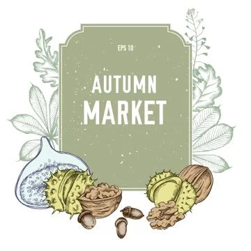 Vector collection of hand drawn autmn market Stock Illustration