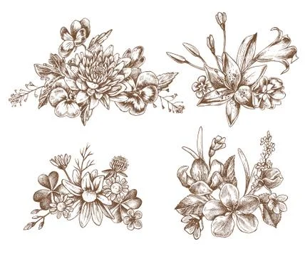 Vector collection of hand drawn autumn flowers Stock Illustration