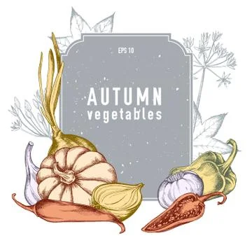 Vector collection of hand drawn autumn vegetables Stock Illustration