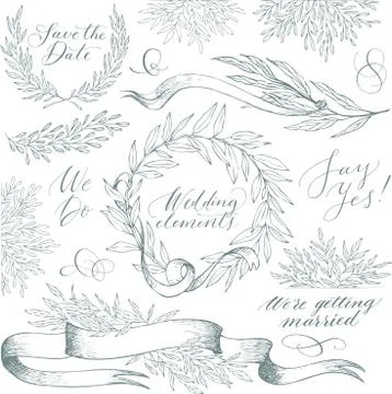 Vector collection of hand drawn design elements and objects. Vintage floral Stock Illustration
