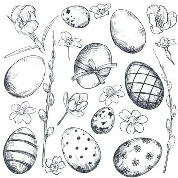 Vector collection of hand drawn ornate Easter eggs and spring flowers Stock Illustration