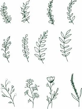 Vector collection of hand drawn plants. Botanical set of sketch flowers and.. Stock Illustration