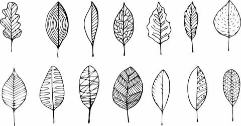 Vector collection of hand drawn plants. Botanical set of sketch flowers and b Stock Illustration
