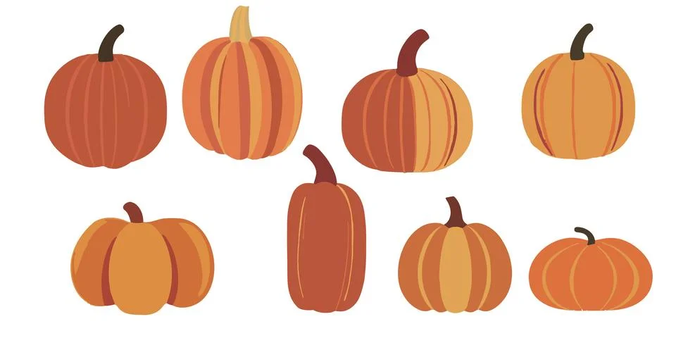 Vector collection of hand drawn pumpkins and autumn design elements set. Orange Illustrazione stock