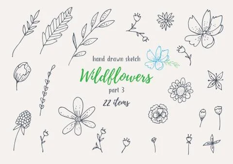 Vector Collection Of Hand Drawn Sketches With Plants Stock Illustration