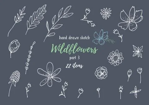 Vector Collection Of Hand Drawn Sketches With Plants Stock Illustration