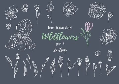 Vector Collection Of Hand Drawn Sketches With Plants Stock-Illustration