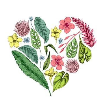 Vector collection of hand drawn tropical plants Stock Illustration
