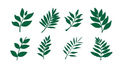 Vector collection of illustrations of tropical foliage leaves イラスト素材