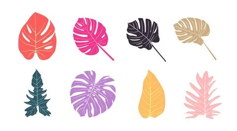 Vector collection of illustrations of tropical foliage leaves イラスト素材