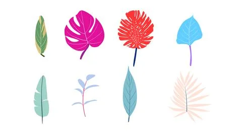 Vector collection of illustrations of tropical foliage leaves イラスト素材