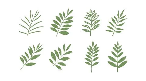 Vector collection of illustrations of tropical foliage leaves イラスト素材