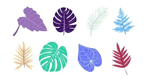 Vector collection of illustrations of tropical foliage leaves イラスト素材