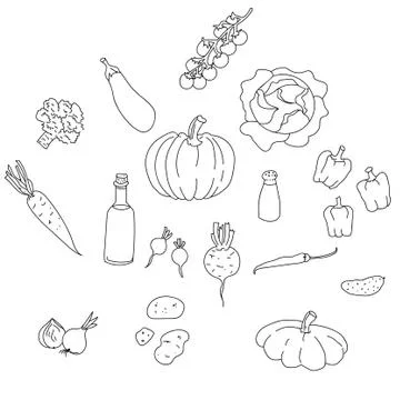 Vector collection of ink hand drawn spices and herb isolated Stock Illustration