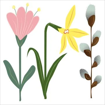 Vector collection of isolated spring flowers on white. Various elements for e Stock Illustration