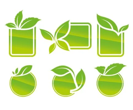 Vector collection of leaf frames, icon, labels and stickers Stock Illustration