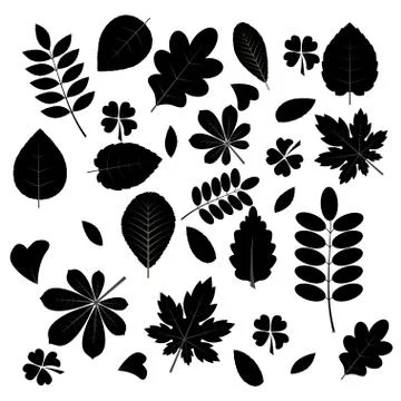 Vector Collection of Leaf Silhouettes Stock Illustration