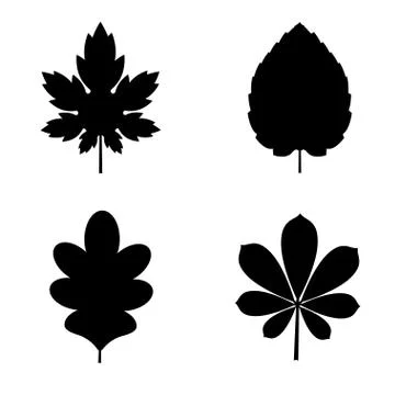 Vector Collection of Leaf Silhouettes Illustrazione stock