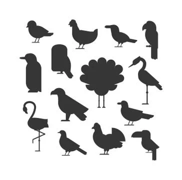 Vector Collection of nature black bird wildlife animal silhouettes Stock Illustration