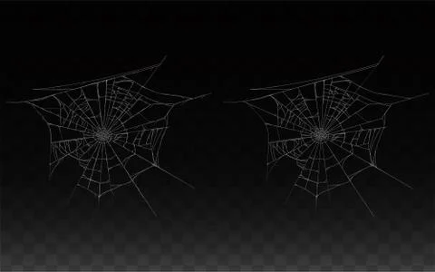 Vector collection of realistic cobweb, spider web Stock Illustration