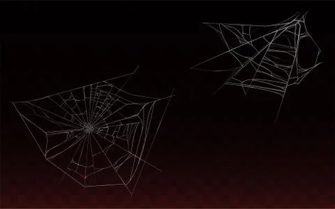 Vector collection of realistic cobweb, spider web Stock Illustration