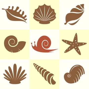 Vector collection of sea shells and snail Stock Illustration