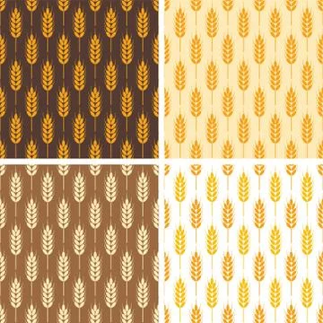 Vector collection of seamless repeating wheat patterns Stock Illustration