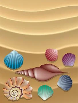 Vector collection of shells on the sand Stock Illustration