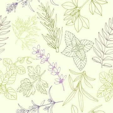 Vector collection of spice. Cooking spices. 스톡 일러스트