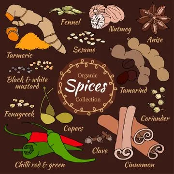 Vector collection of spice Stock Illustration