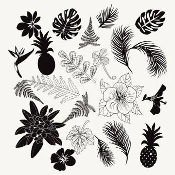 Vector collection of tropical plants,  leaves and flowers isolated palm fer.. Stock Illustration