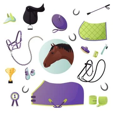 Vector collection with various elements of horse tack and equipment.  Stock Illustration