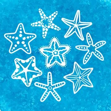 Vector collection of various sea starfish Stock Illustration