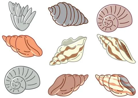 Vector Collection of Various Seashells and Ocean Beach Elements Stock Illustration