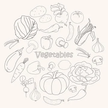 Vector collection of vegetables Stock Illustration