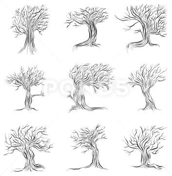 A Vector Collection of Winter Trees with No Leaves Illustration Stock Illustration
