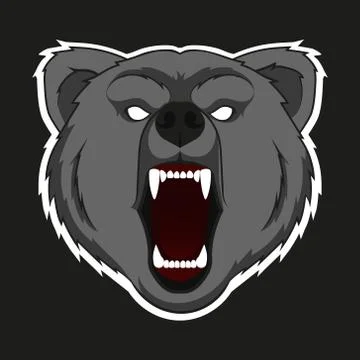 Vector color angry raring bear head illustration. Isolated. Stock Illustration