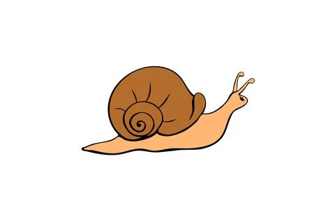 Vector color cute snail in flat style with spiral shell, side view, isolate.. Stock Illustration