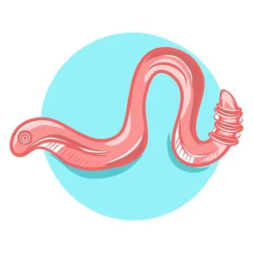 Vector color hand-drawn illustration of a pink worm 스톡 일러스트