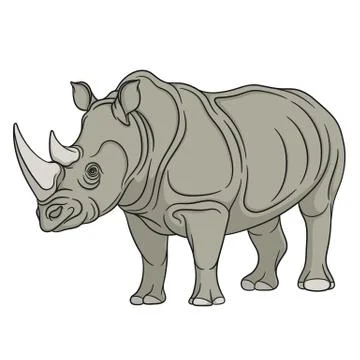 Vector color illustration rhinoceros. Isolated object on a white. Stock-Illustration