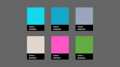 Vector color palette featuring six vibrant swatches. Ideal for design project Stock Illustration