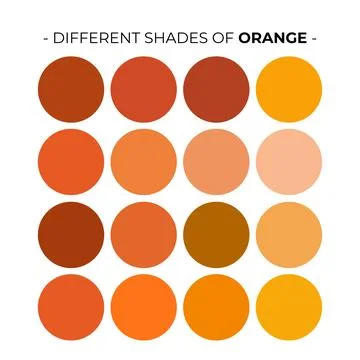 Vector Color Palette Set Design Template Multi color Stock Illustration
