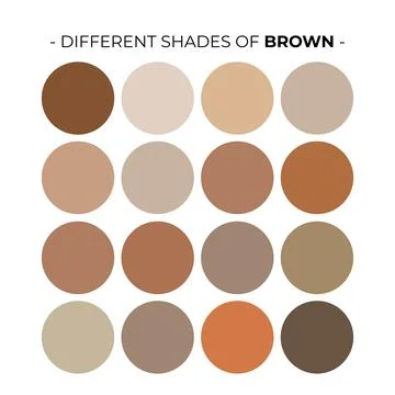 Vector Color Palette Set Design Template Multi color Stock Illustration