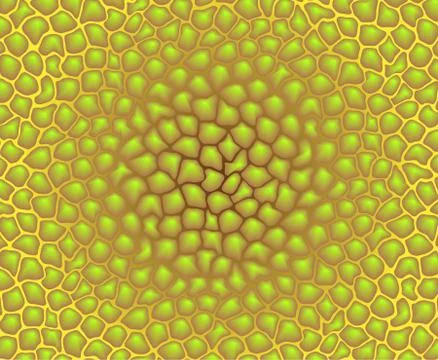 Vector color texture - pattern of cells Stock Illustration