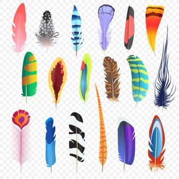 Vector colored bird feathers isolated on the alpha transperant background Stock Illustration