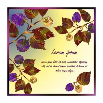 Vector colored bramble frame. Stock Illustration