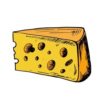 Vector colored hand drawn illustration with cheese piece . Hand drawn Sketch Stock Illustration